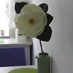 Appartamento Anca Braşov