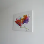 Appartamento Anca Braşov