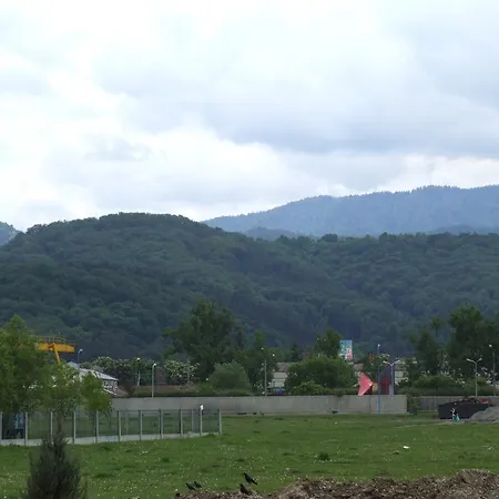 Anca Brasov