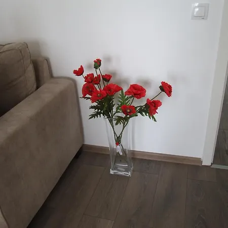 Apartment Anca