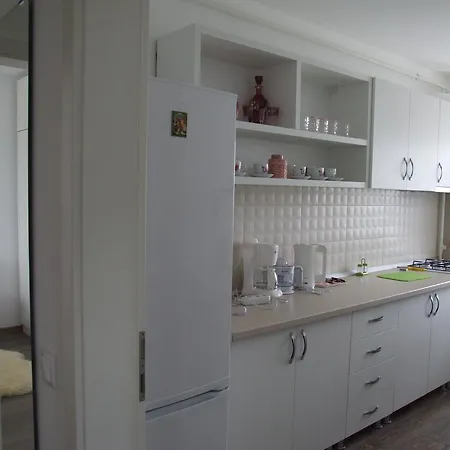 Apartment Anca Brasov