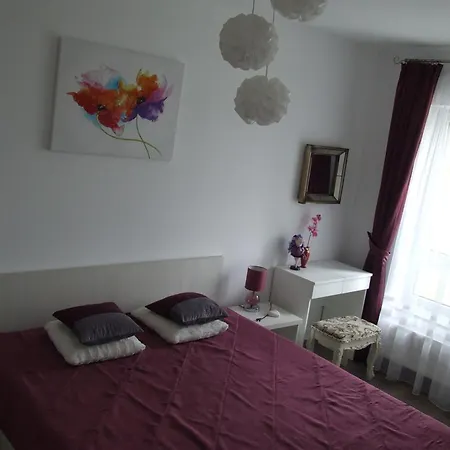 Anca Brasov