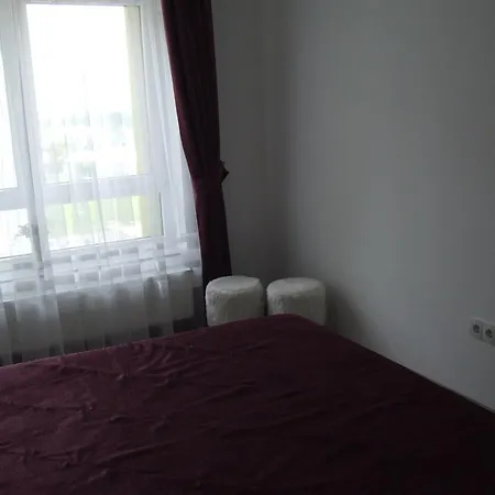 Anca Brasov