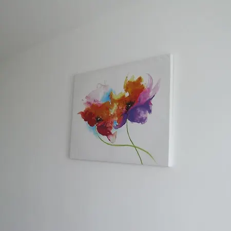 Apartment Anca Brasov