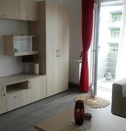 Anca Brasov