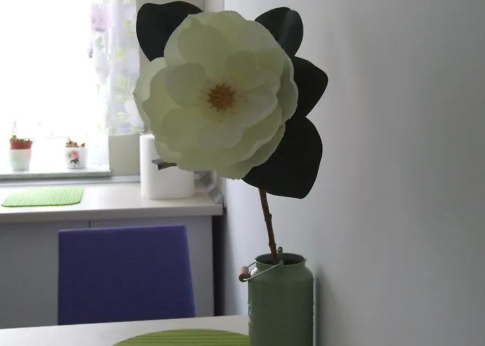 Apartment Anca Brasov