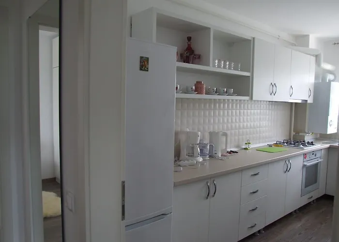 Apartment Anca Brasov