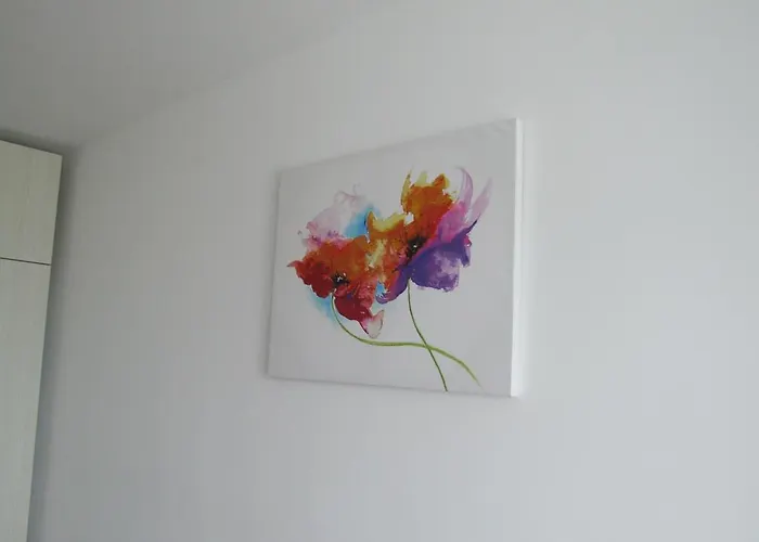 Apartment Anca Brasov