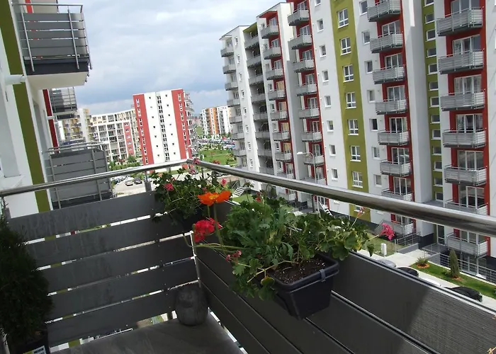 Apartment Anca Brasov