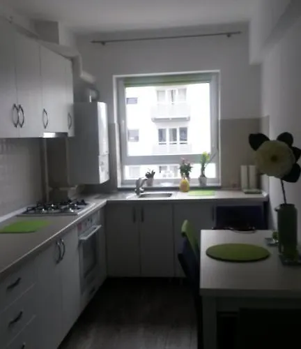 Apartment Anca Brasov